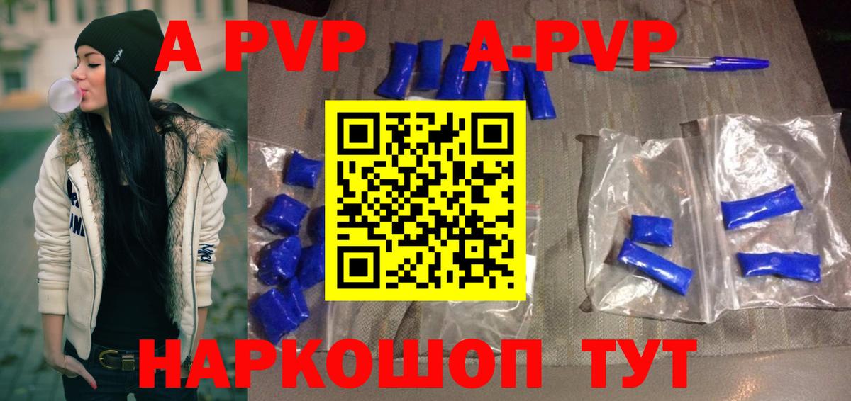 Alfa_PVP СК КРИС Сосновый Бор