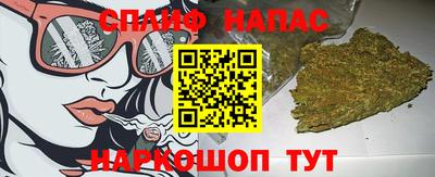 прущие грибы Новокубанск
