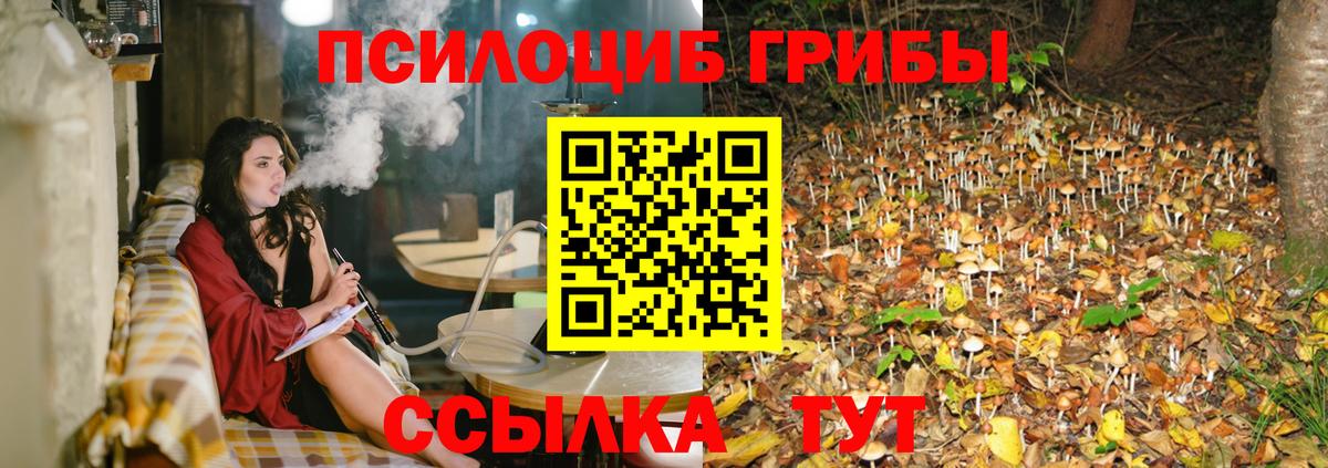Галлюциногенные грибы мухоморы  Вход с VPN  Галлюциногенные грибы мицелий  Сосновый Бор 