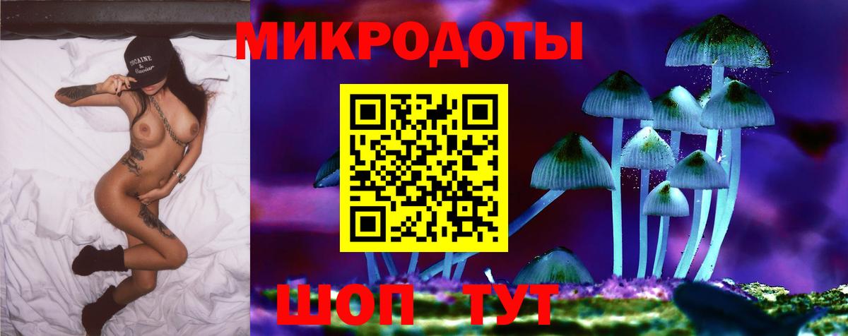 Галлюциногенные грибы Psilocybine cubensis Сосновый Бор