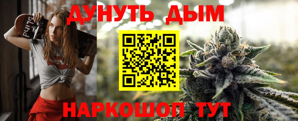 Каннабис Bruce Banner Сосновый Бор